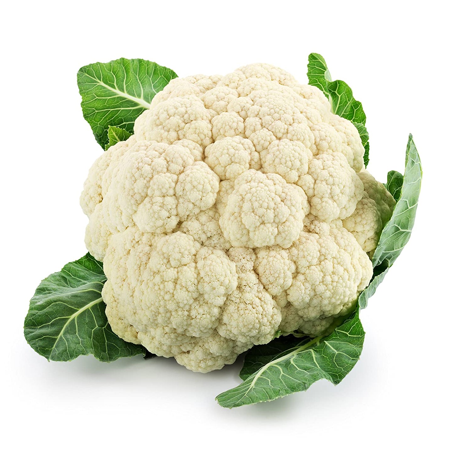 CAULIFLOWER HYBRID SEEDS (40 seeds) plant-orbit