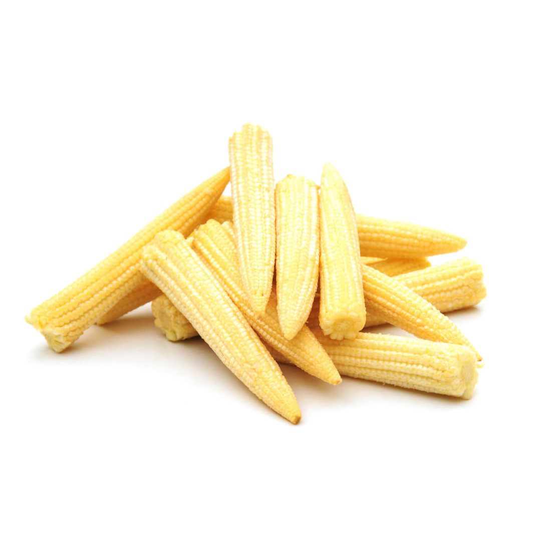BABY CORN HYBRID SEEDS (20 seeds) plant-orbit