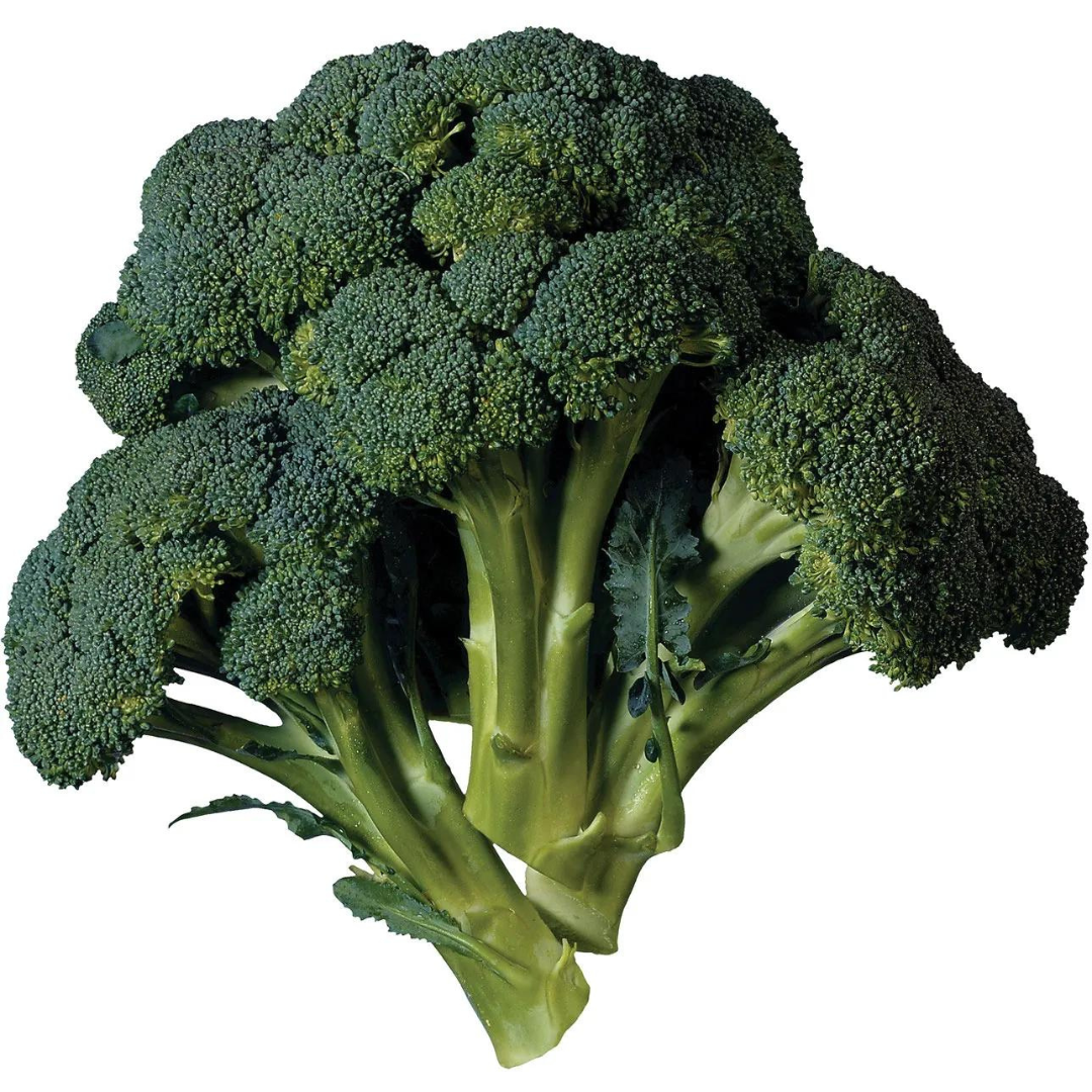 BROCCOLI HYBRID SEEDS (30 seeds) plant-orbit
