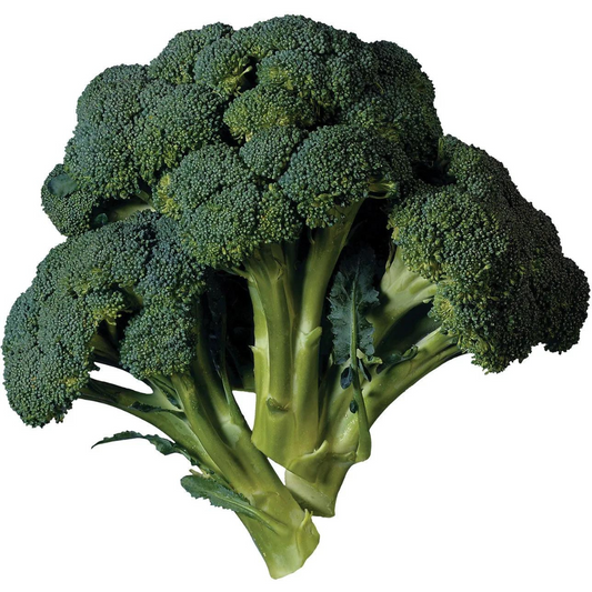 BROCCOLI HYBRID SEEDS (30 seeds) plant-orbit