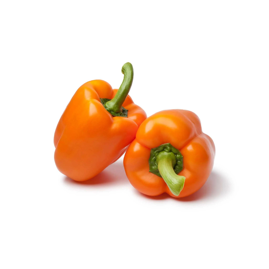 CAPSICUM (ORANGE) HYBRID SEEDS (20 seeds) plant-orbit