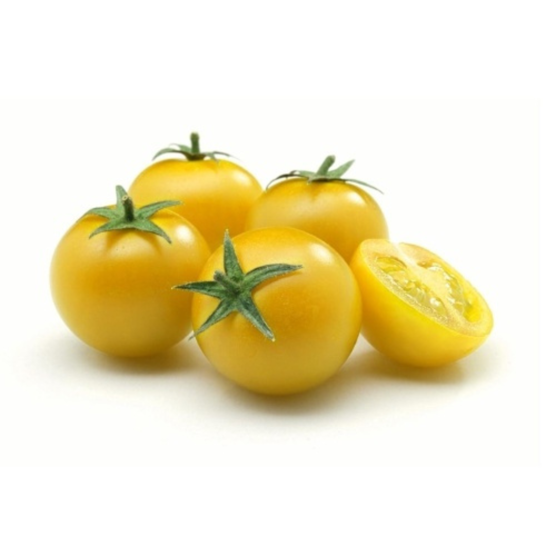 CHERRY TOMATO YELLOW HYBRID SEEDS (40 seeds) plant-orbit