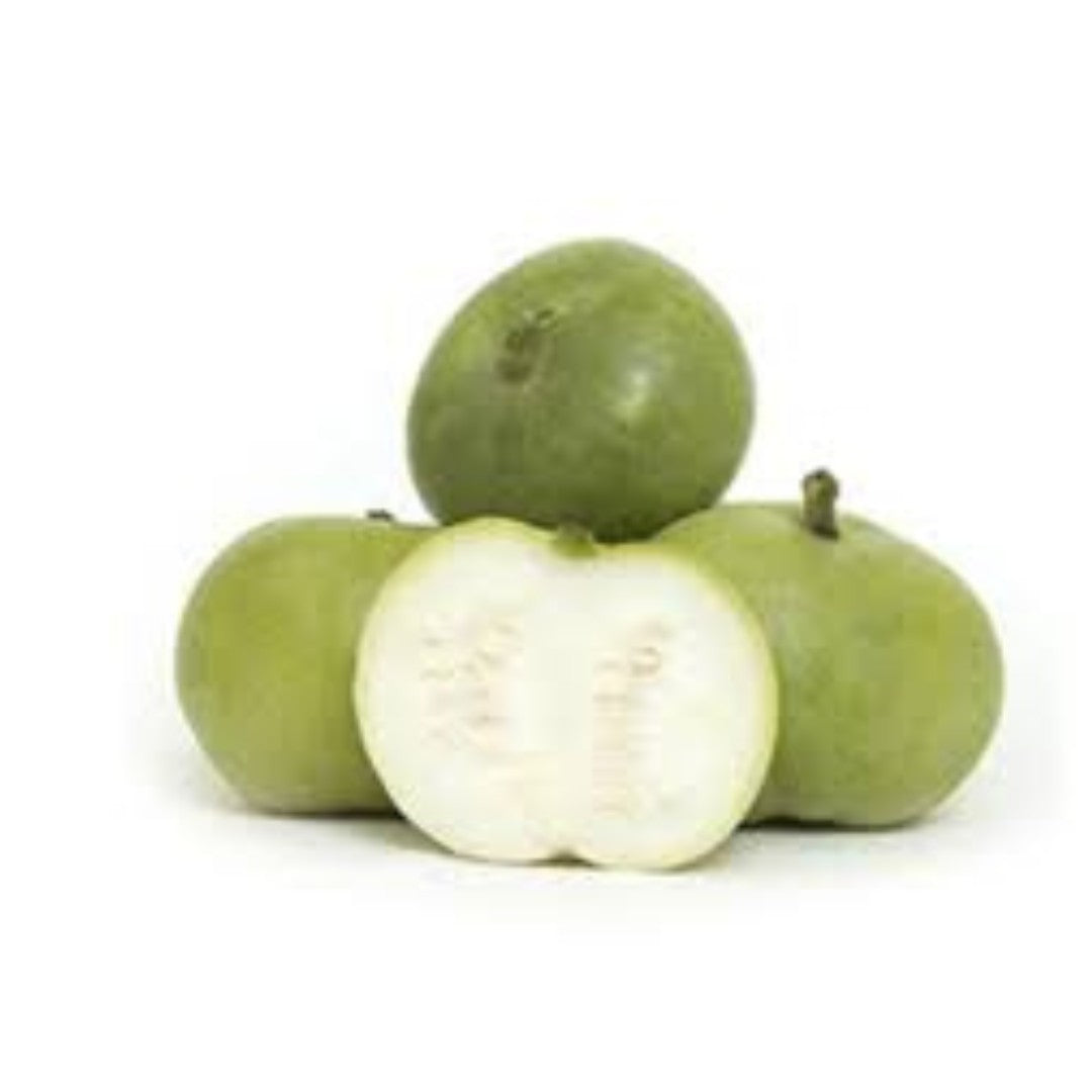 INDIAN SQUASH / TINDA HYBRID SEEDS (40 seeds) plant-orbit