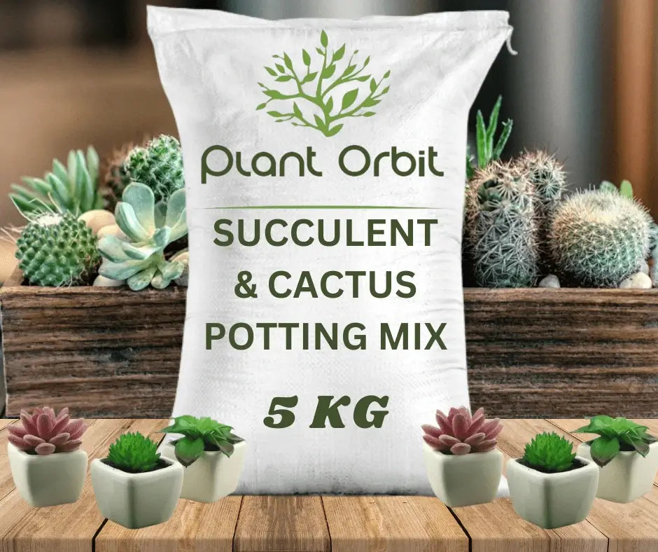 Succulent & Cactus Potting Mix Online