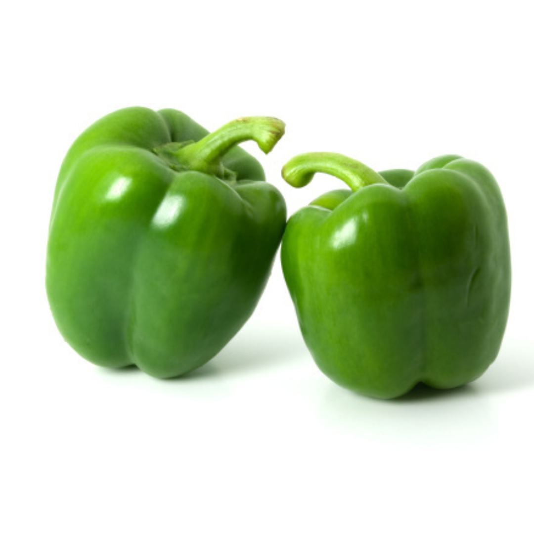 CAPSICUM (GREEN) HYBRID SEEDS (20 seeds) plant-orbit