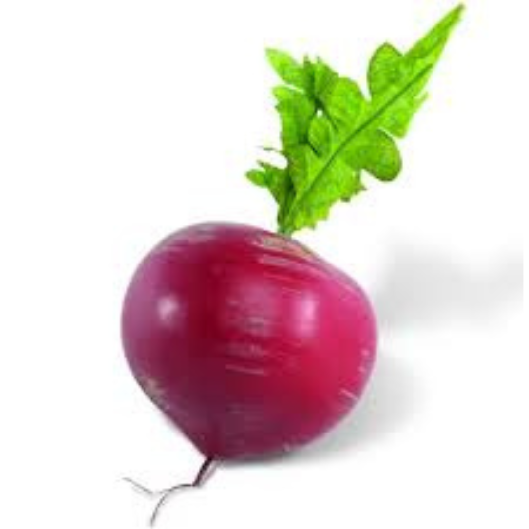 TURNIP RED HYBRID SEEDS (50 seeds) plant-orbit