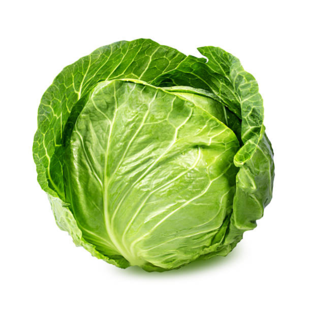 CABBAGE HYBRID SEEDS (40 seeds) plant-orbit