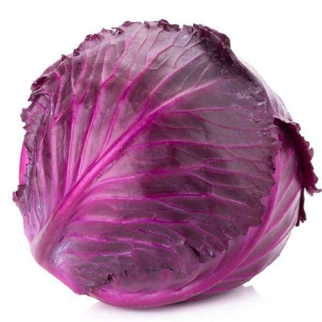 CABBAGE PURPLE HYBRID SEEDS (40 seeds) plant-orbit