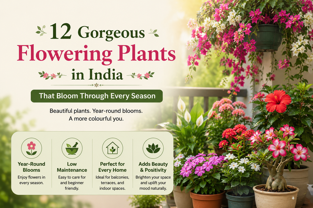 12 Gorgeous Flowering Plants in India That Bloom Through Every Season