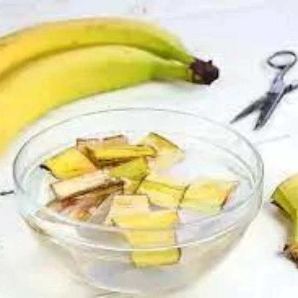 Making of Banana Fertilizer plantorbit