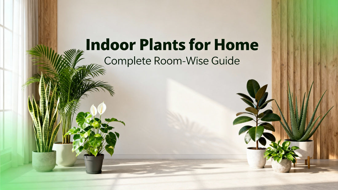 Indoor Plants for Home: Room Placement, Vastu, Oxygen & Air Purifying Guide