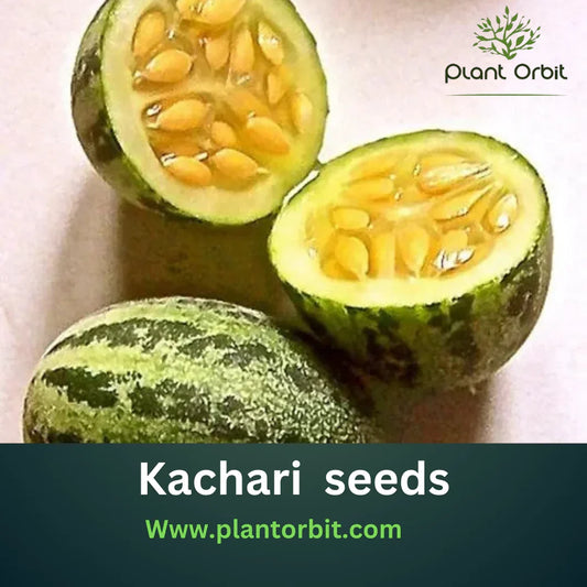 How to Grow Kachri Seeds: A Comprehensive Guide