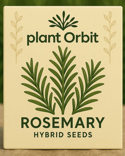 ROSEMARY HYBRID SEEDS (15 seeds)
