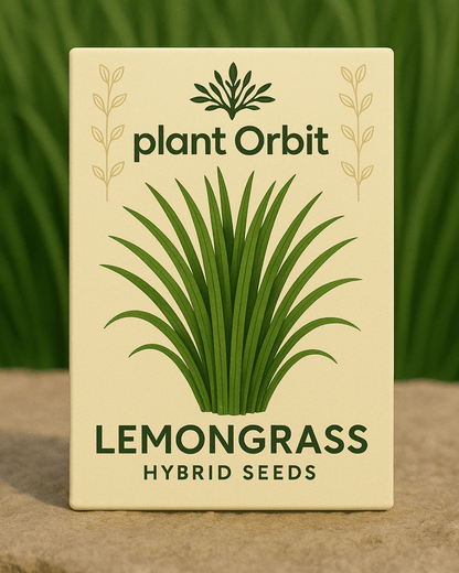 Lemon Grass Hybrid Seeds