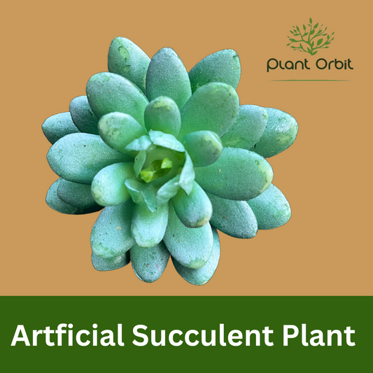 Artificial Succulent Plant