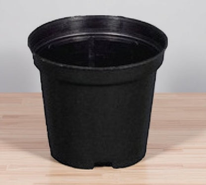 Black Garedning Pot ( 3 inches)