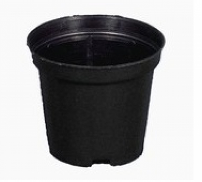 Black Garedning Pot ( 3 inches)