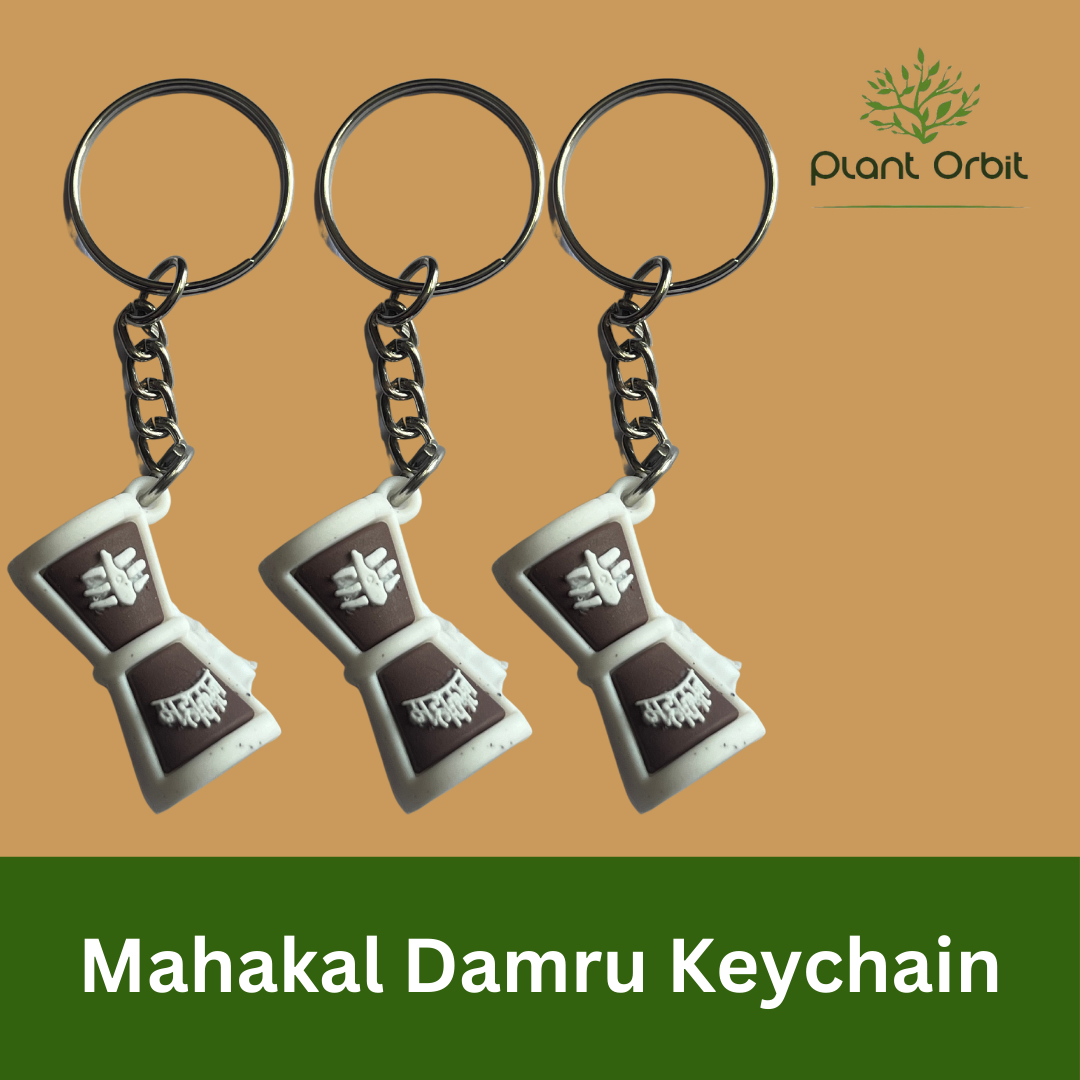 Mahakal Damru keychain