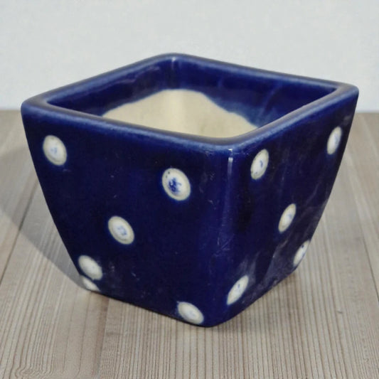 Purple Ceramic Pot with White Dots