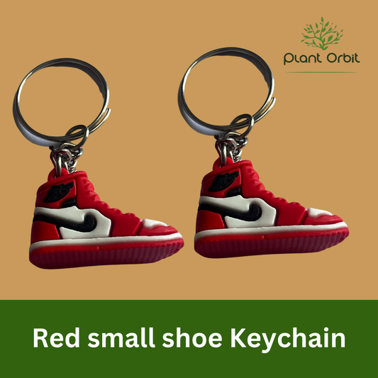 Red shoe Keychain