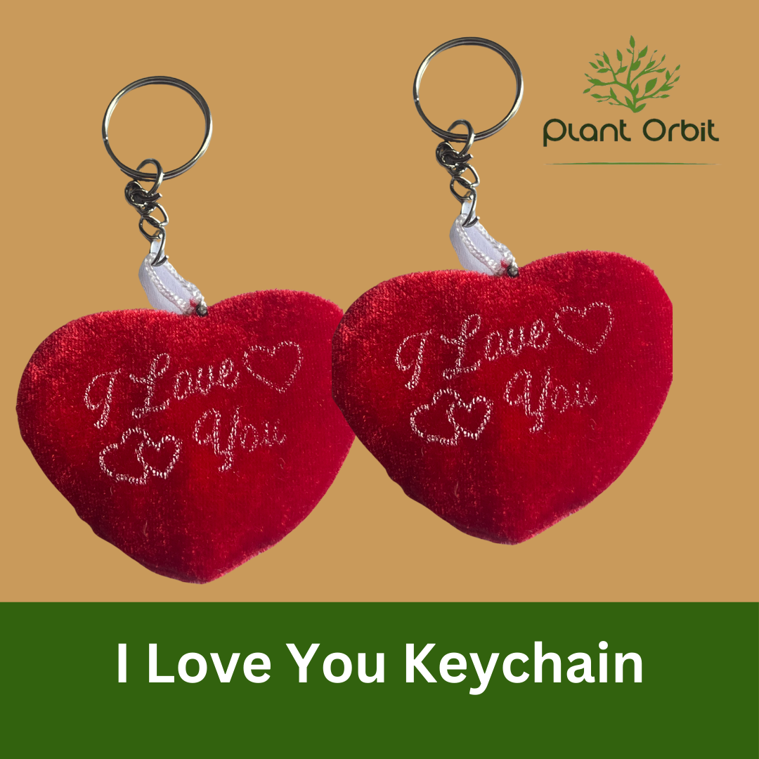 I love you Keychains ( Pack of one )