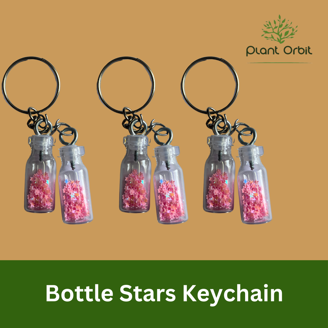 Bottle Stars Keychains