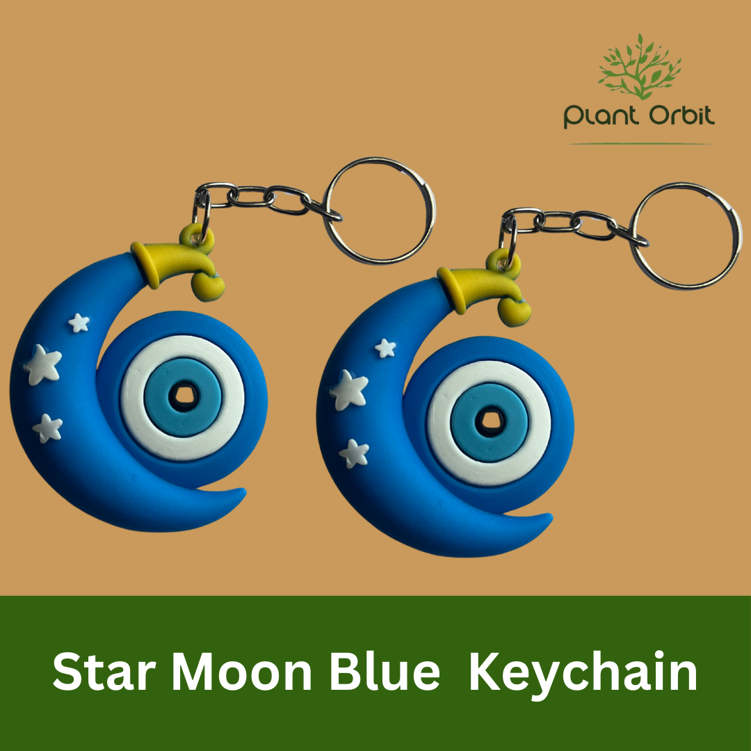 Star moon blue Keychain