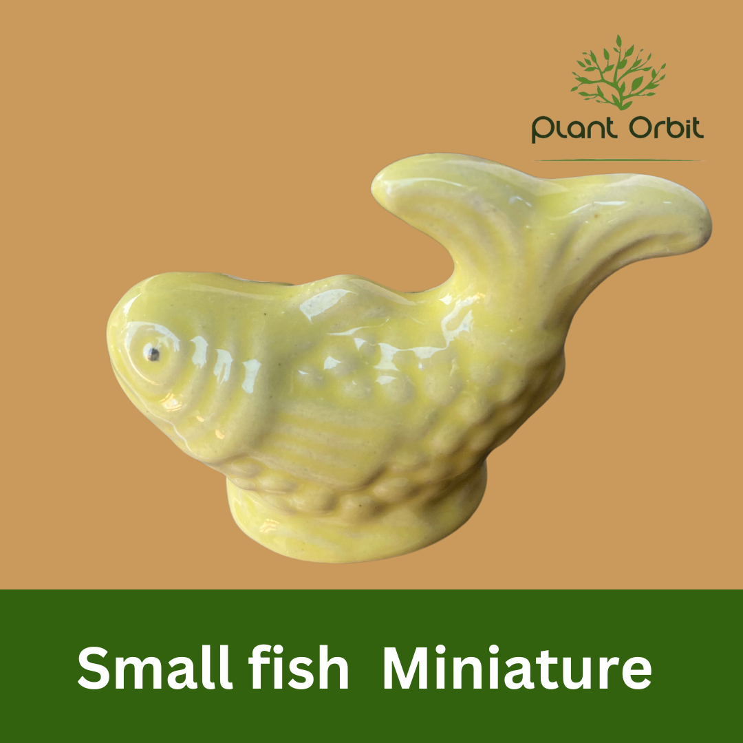 Small Yellow fish miniature