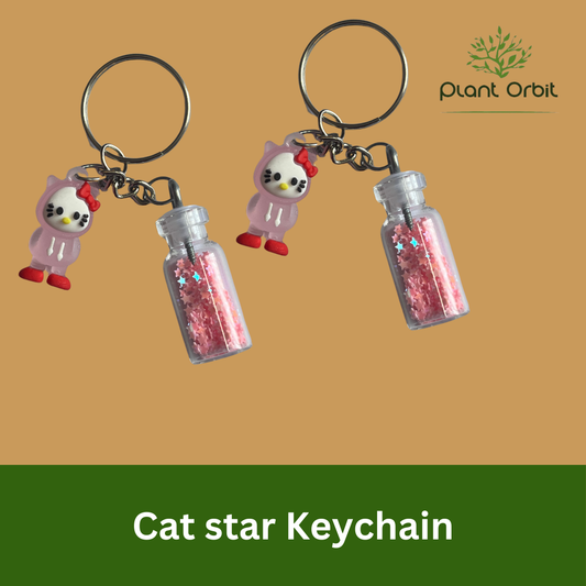 Cat star Keychain