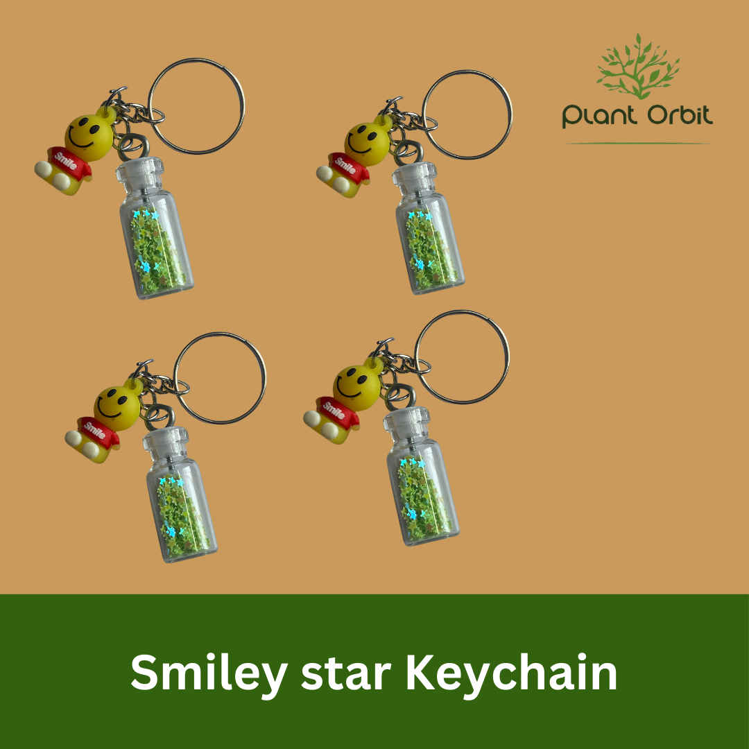 Smiley star Keychain