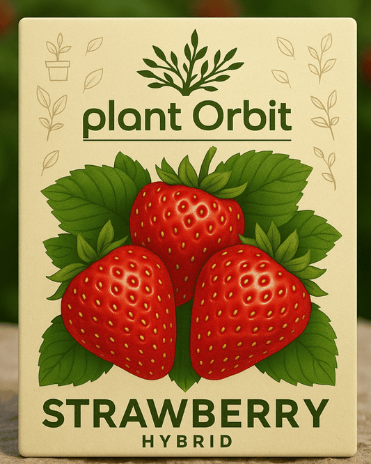 STRAWBERRY HYBRID SEEDS (100 seeds)