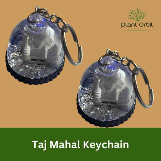 Taj Mahal Keychain