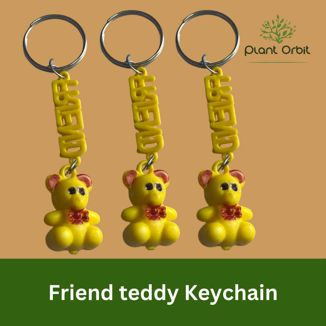 Friend Teddy Keychain