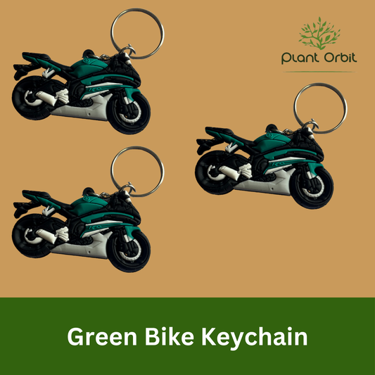 Green Bike Keychain (Pack of one)