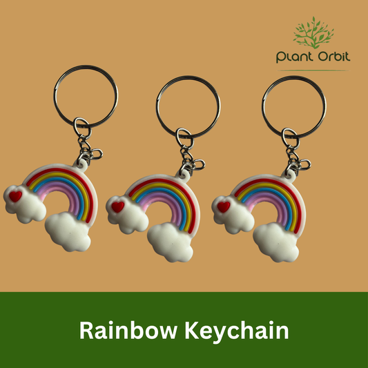 Rainbow Keychains