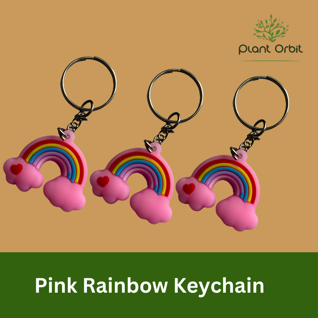 Pink rainbow Keychain