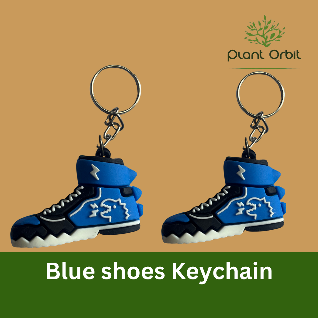 Blue shoes Keychain