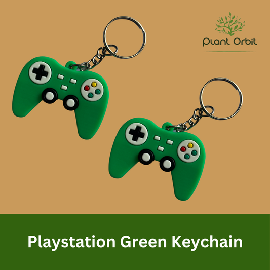 Playstation Keychain