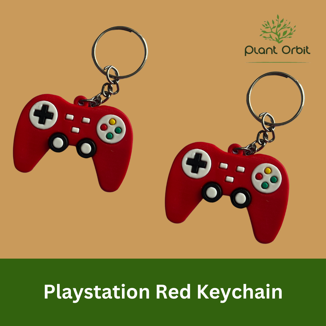 Playstation Keychain