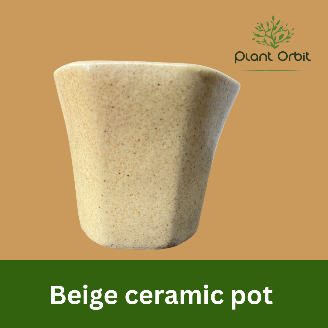 Beige ceramic pot