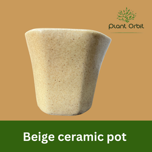 Beige ceramic pot