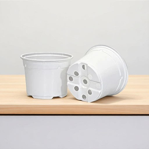 White Gardening Pot ( 3 inches)