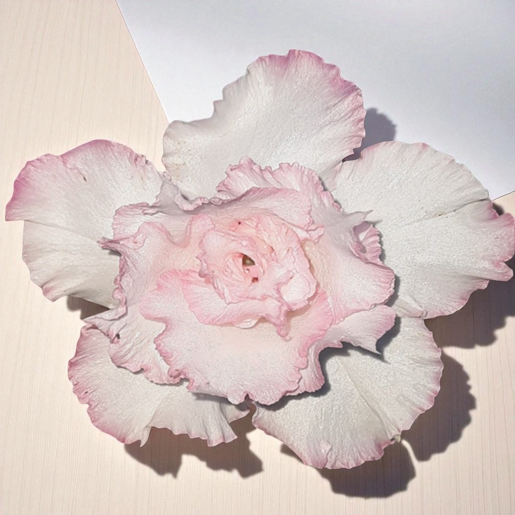 Adenium R107