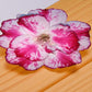 Adenium R138