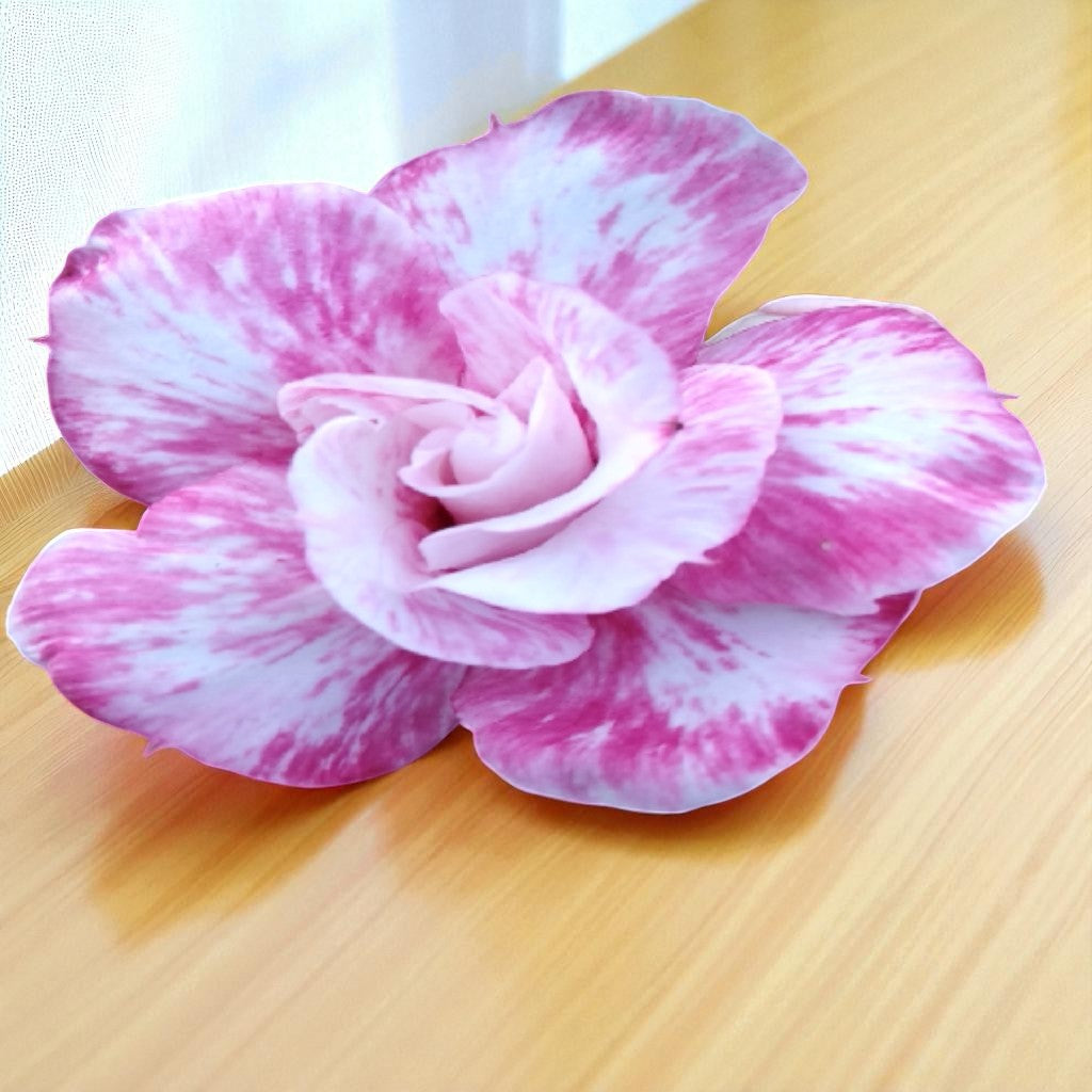 Adenium R139