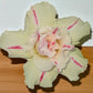 Adenium R175