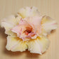 Adenium R225