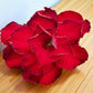 Adenium R226