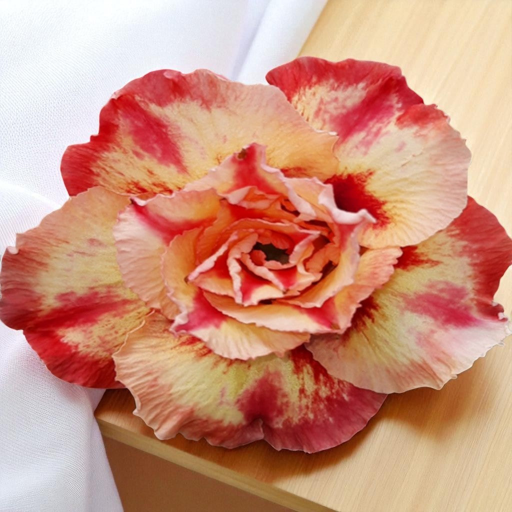 Adenium R235