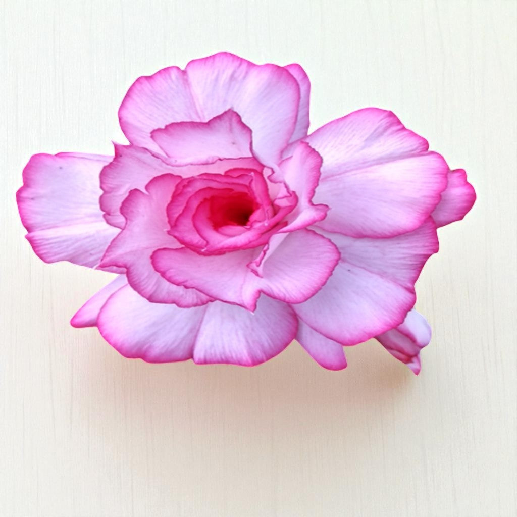Adenium R30